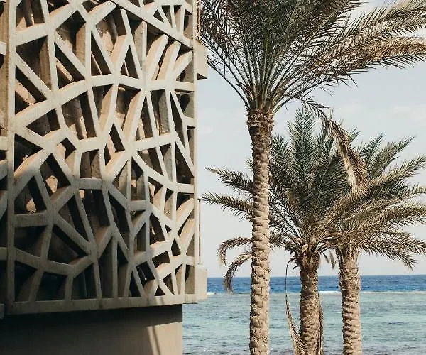 Dar 3*